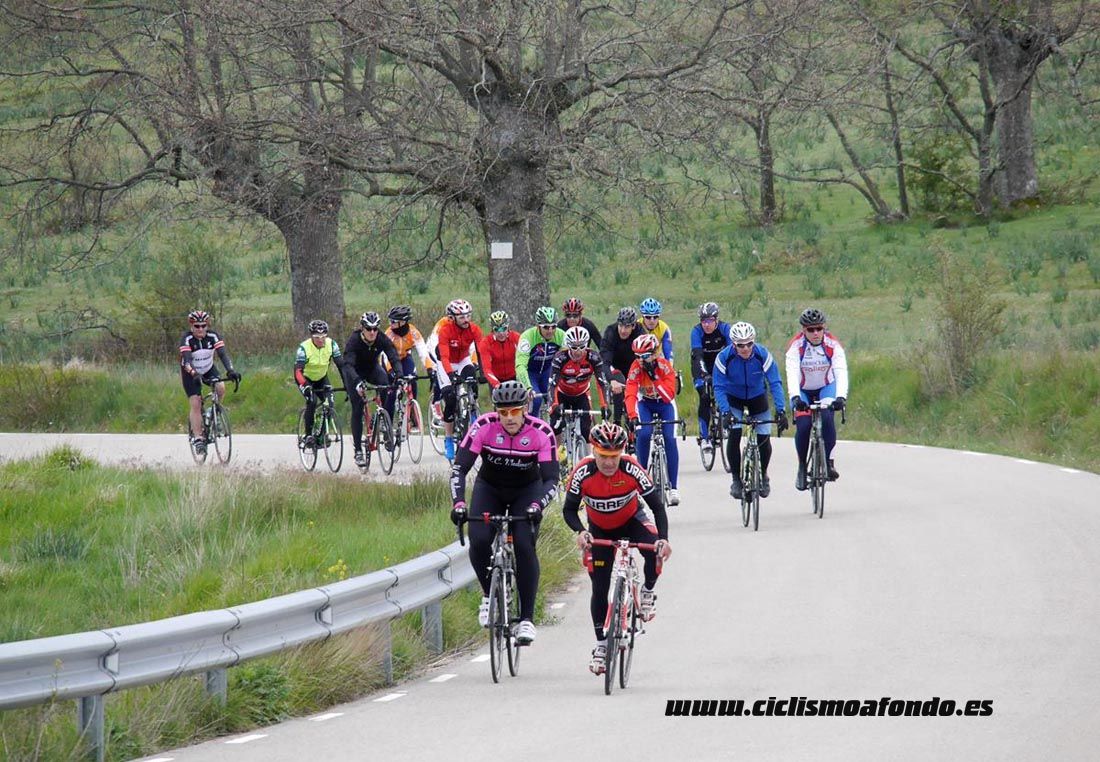Kedada Urrez Campagnolo 2016_1