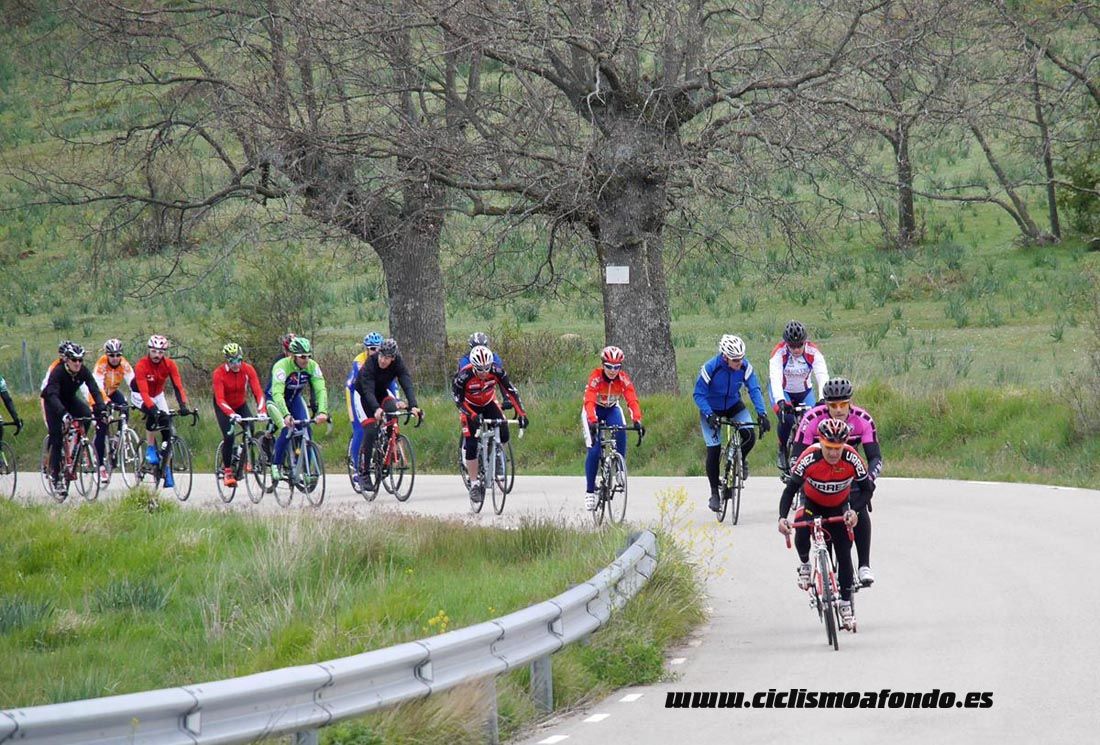 Kedada Urrez Campagnolo 2016_1