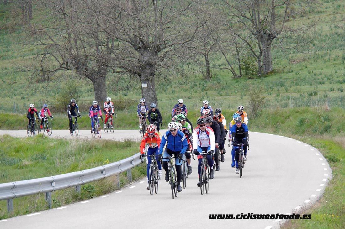 Kedada Urrez Campagnolo 2016_1