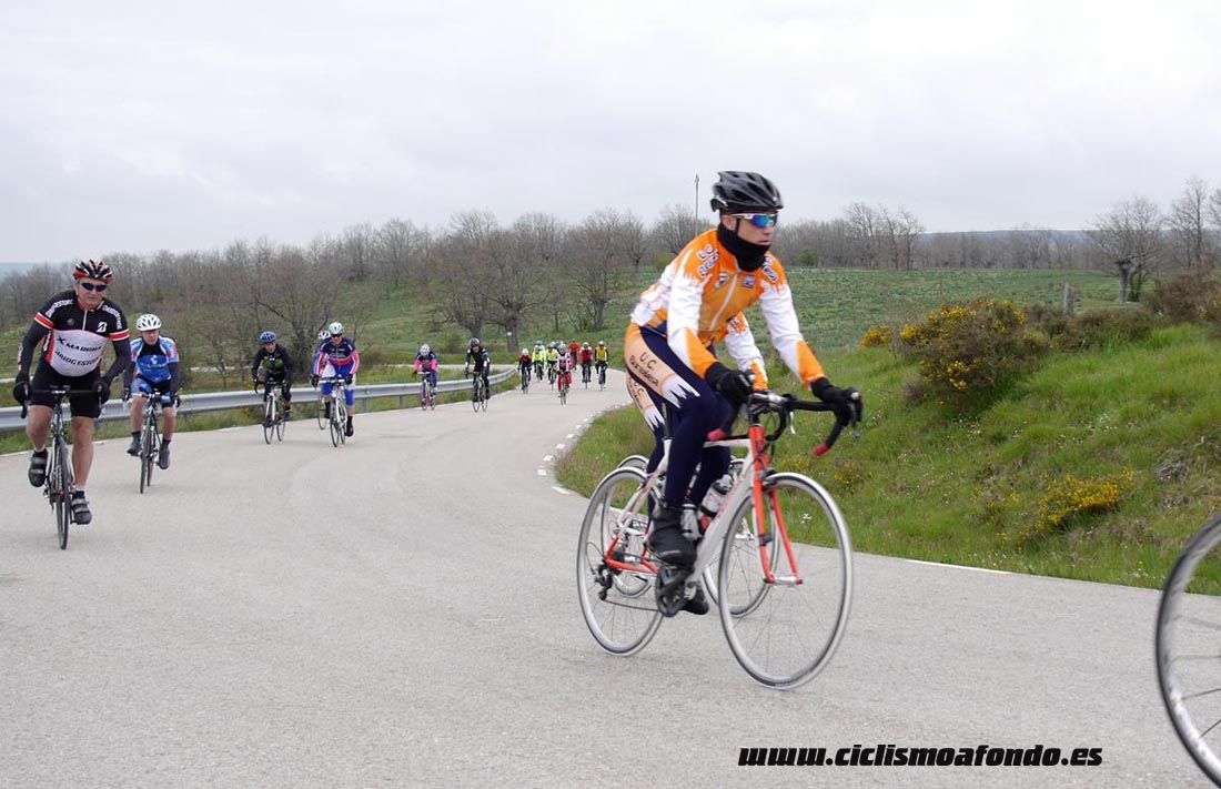 Kedada Urrez Campagnolo 2016_1