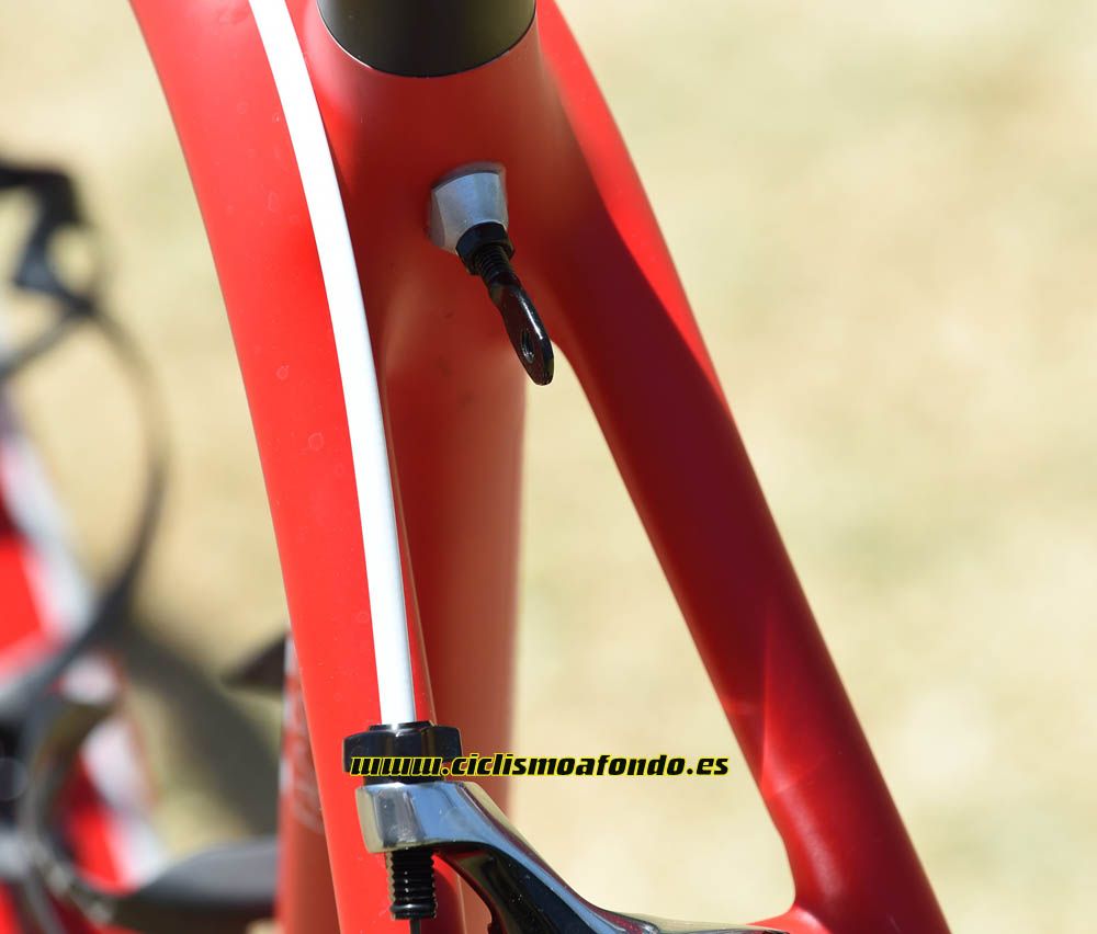 La Trek Emonda de Ryder Hesjedal