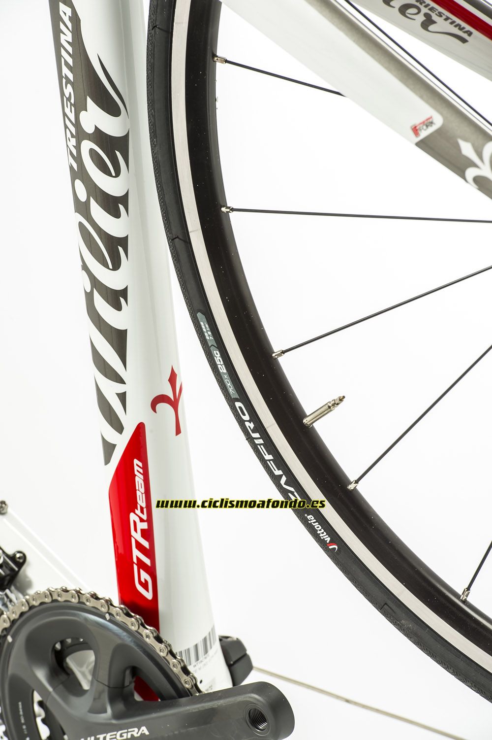 Prueba: Wilier GTR Team