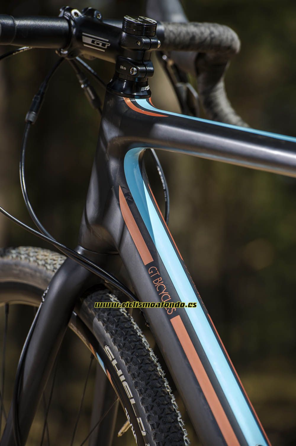 Prueba: GT Grade