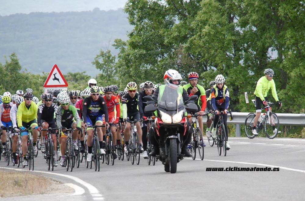Bedelalsa 2016_1