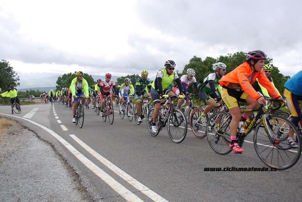 Bedelalsa 2016_1