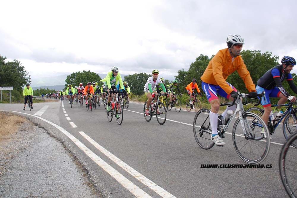 Bedelalsa 2016_1