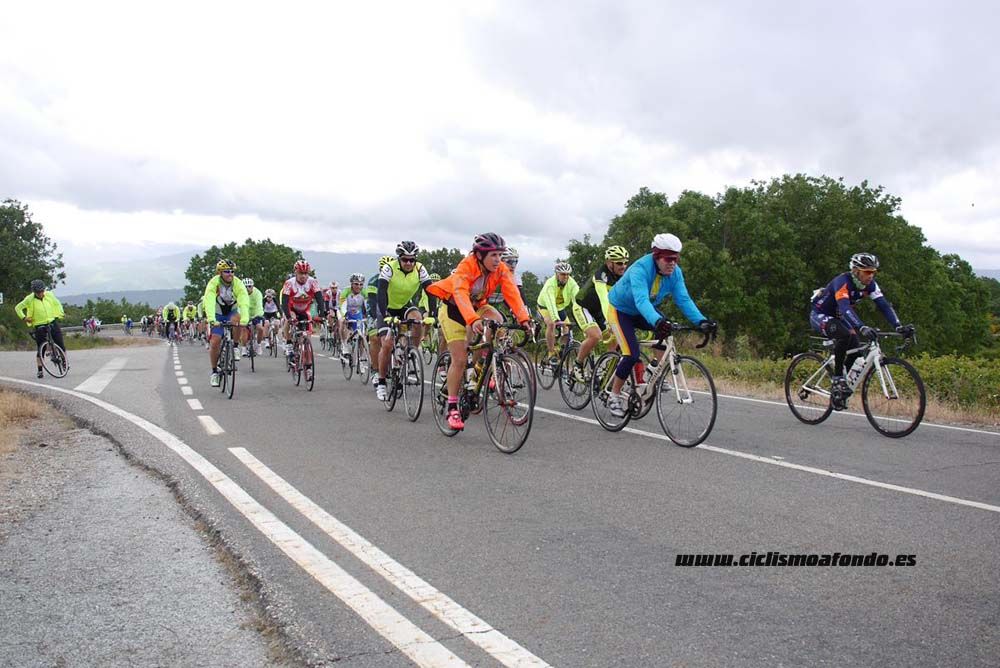 Bedelalsa 2016_1