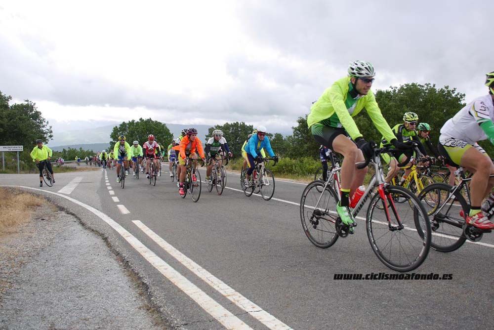 Bedelalsa 2016_1