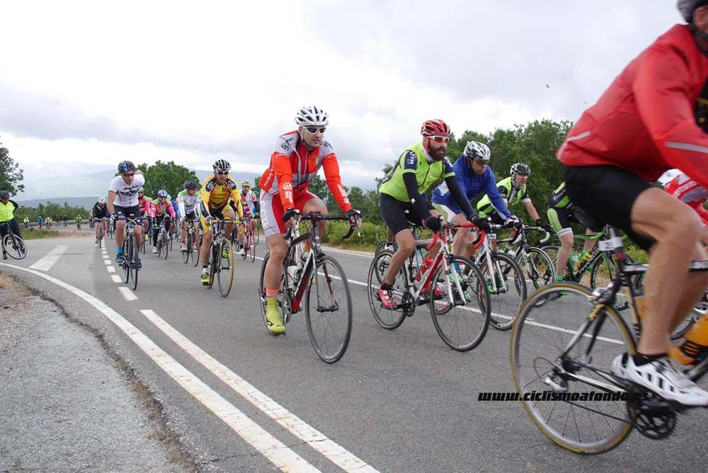 Bedelalsa 2016_1