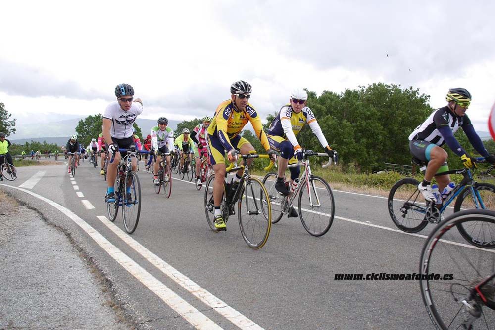 Bedelalsa 2016_1