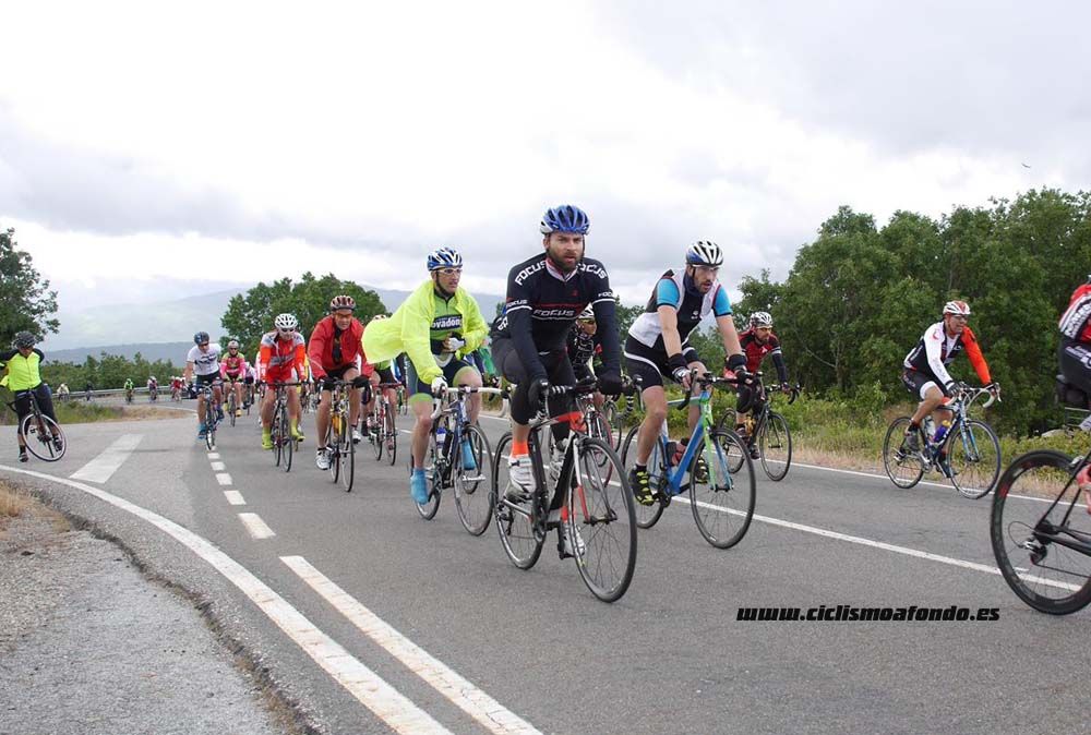 Bedelalsa 2016_1