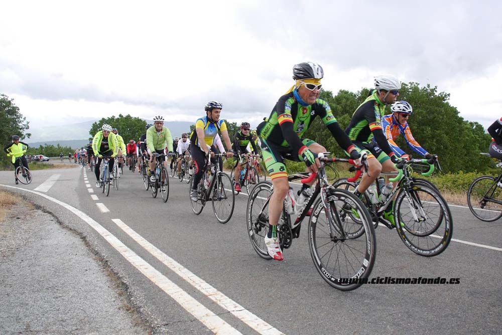 Bedelalsa 2016_1
