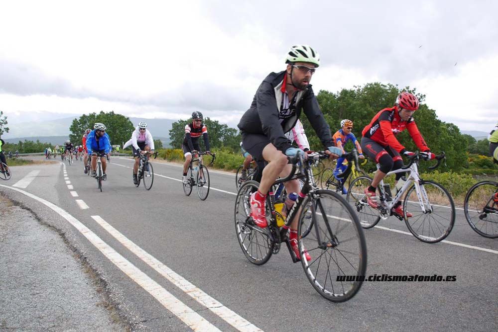 Bedelalsa 2016_1