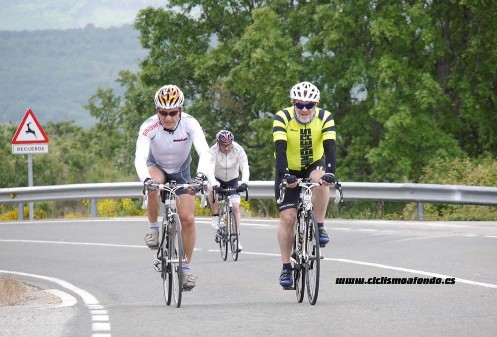 Bedelalsa 2016_1