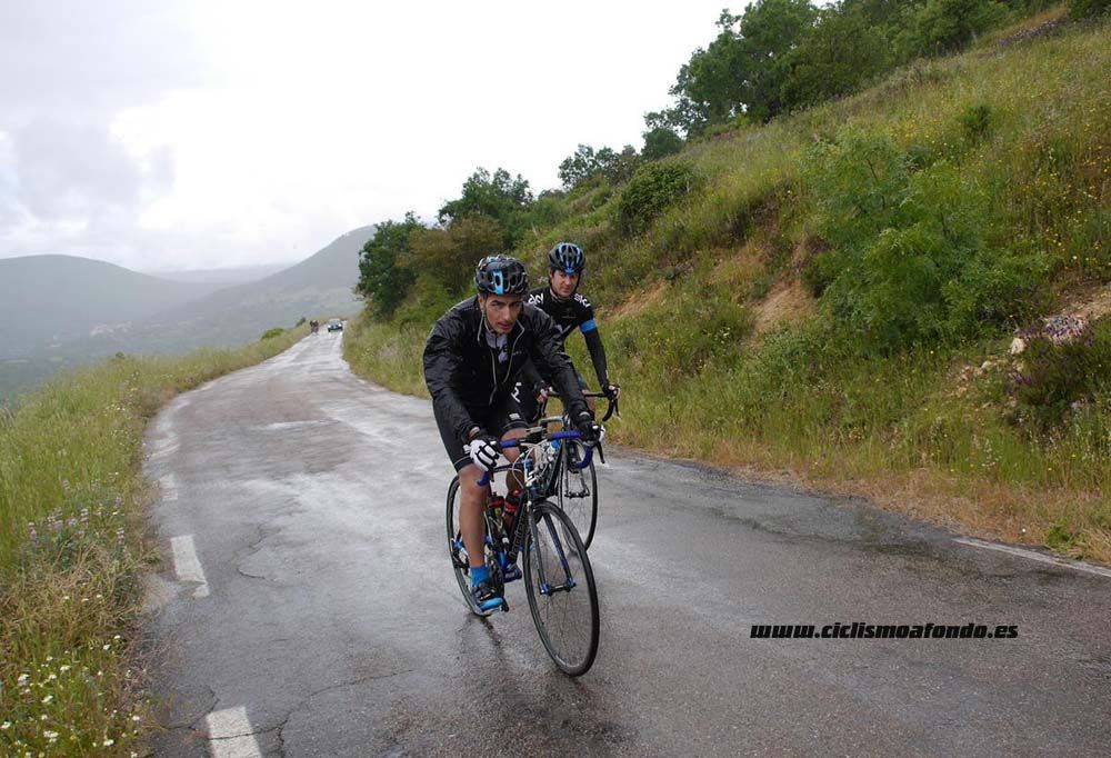 Bedelalsa 2016_1