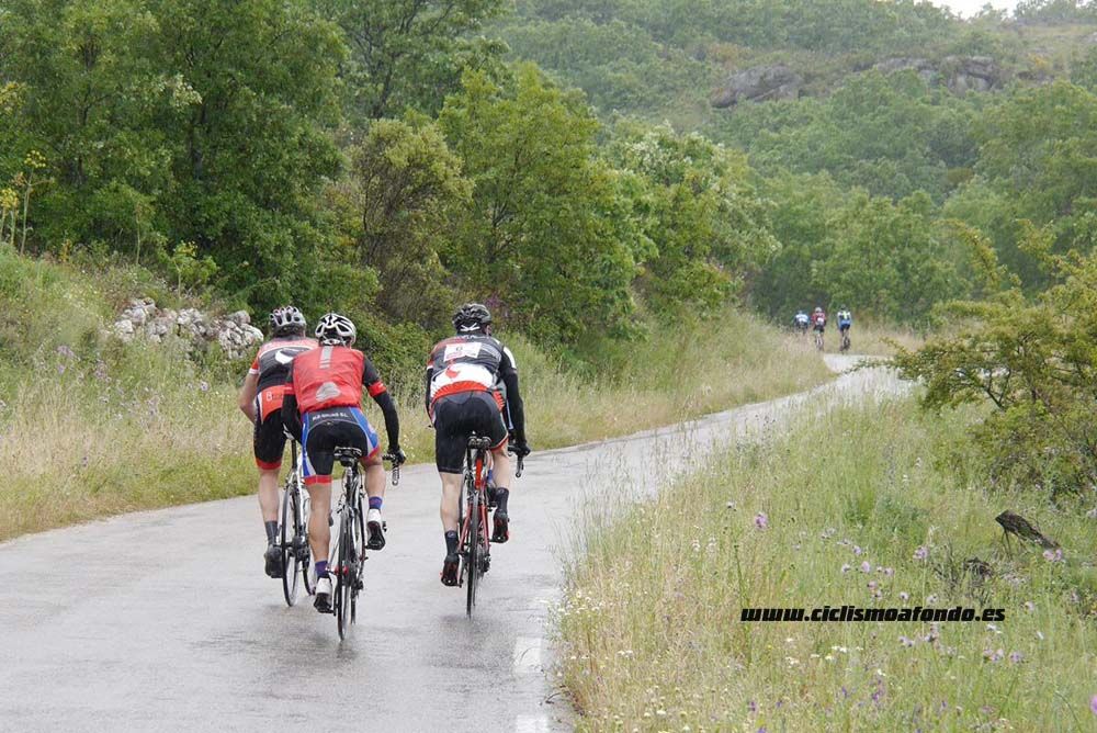 Bedelalsa 2016_1
