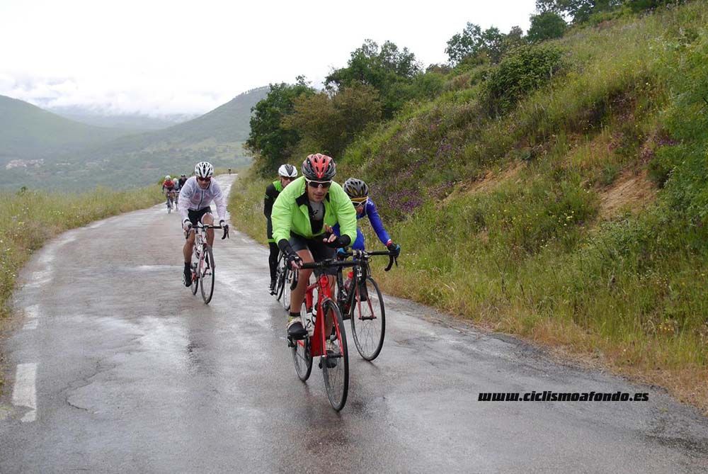 Bedelalsa 2016_1