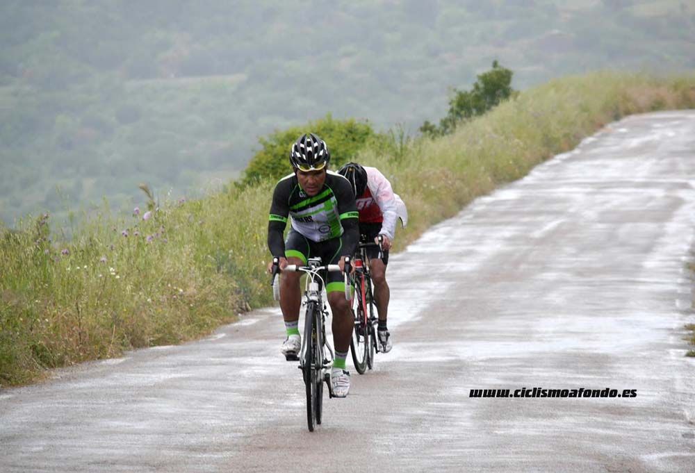 Bedelalsa 2016_1