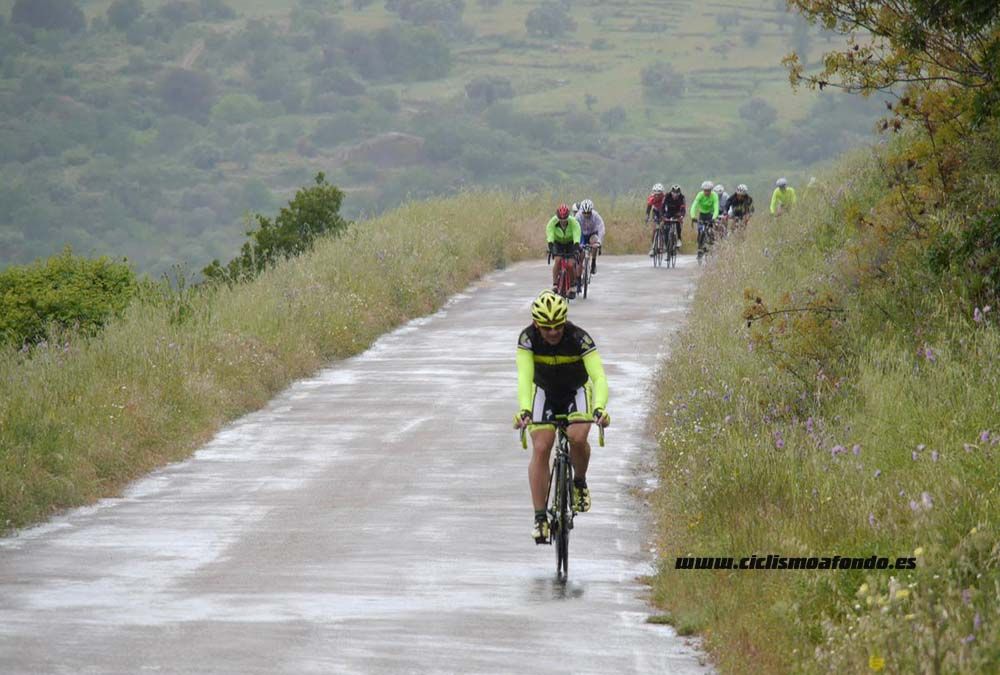 Bedelalsa 2016_1