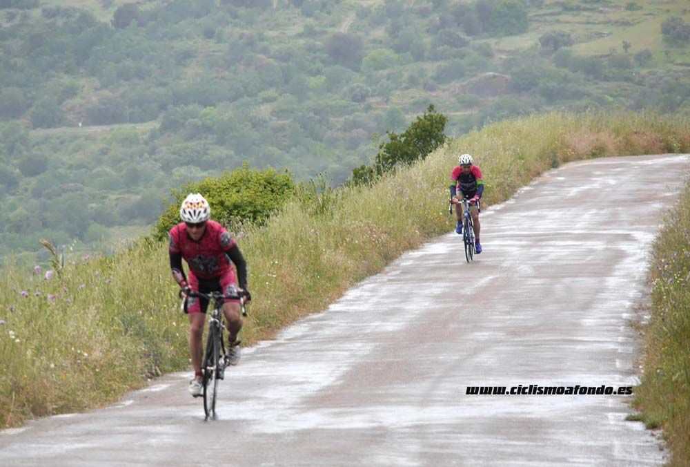 Bedelalsa 2016_1