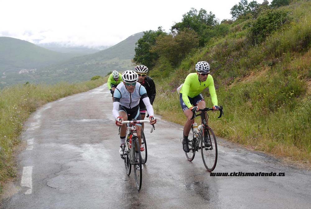 Bedelalsa 2016_1