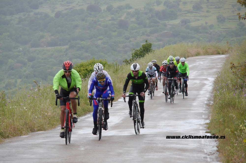 Bedelalsa 2016_1