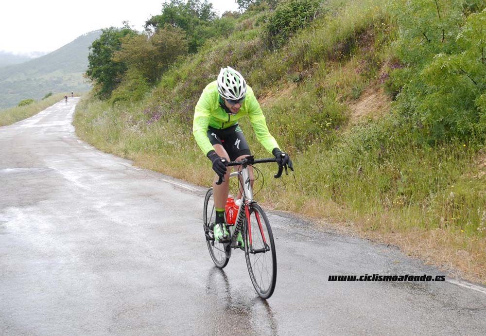 Bedelalsa 2016_1