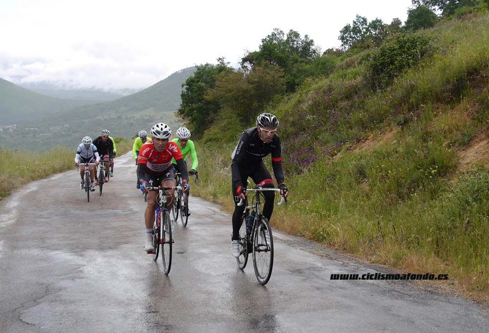 Bedelalsa 2016_1