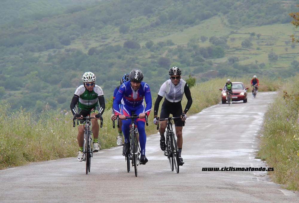 Bedelalsa 2016_1