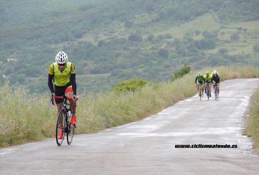 Bedelalsa 2016_1