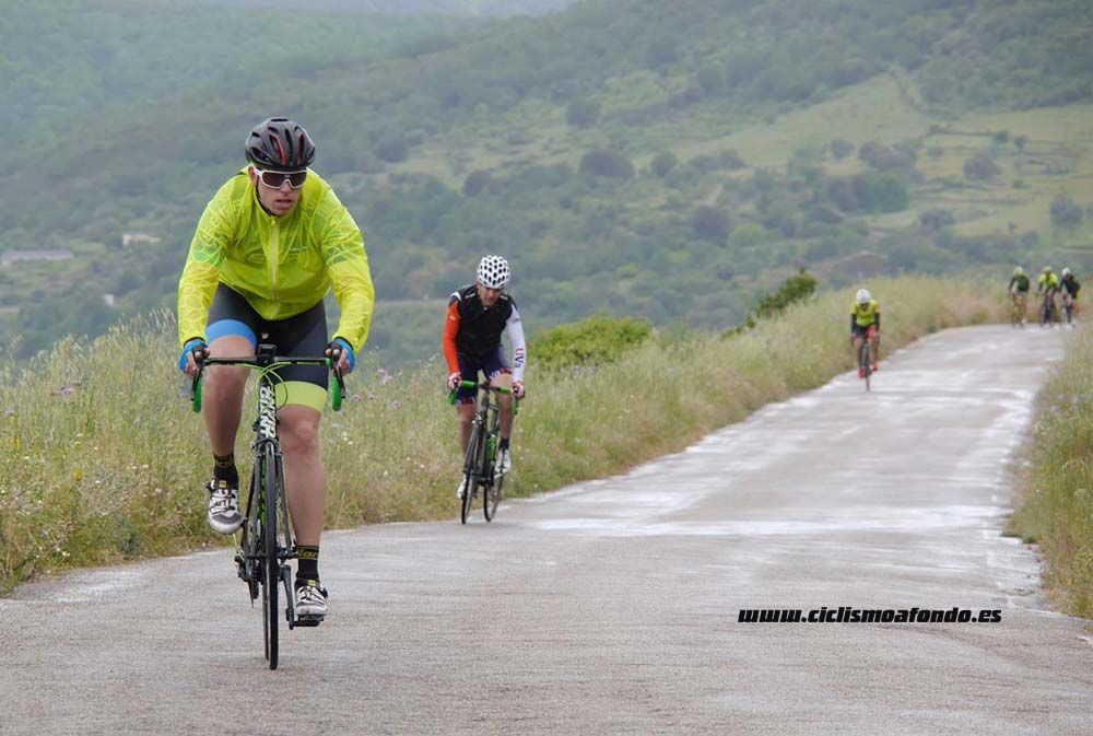 Bedelalsa 2016_1