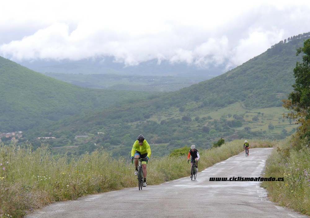 Bedelalsa 2016_1