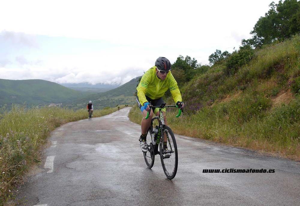 Bedelalsa 2016_1