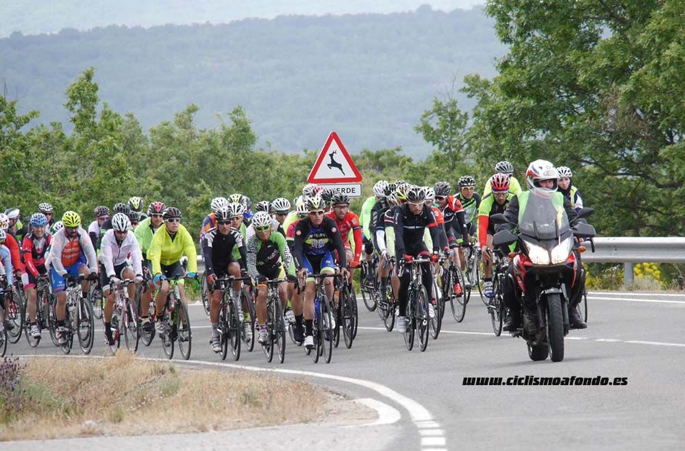 Bedelalsa 2016_1