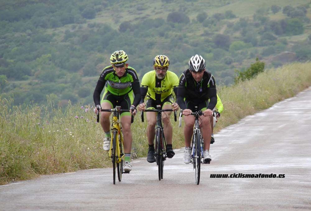 Bedelalsa 2016_1