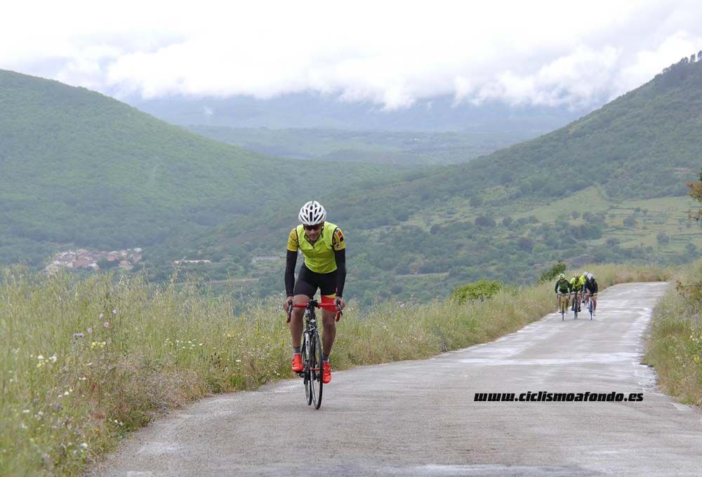 Bedelalsa 2016_1