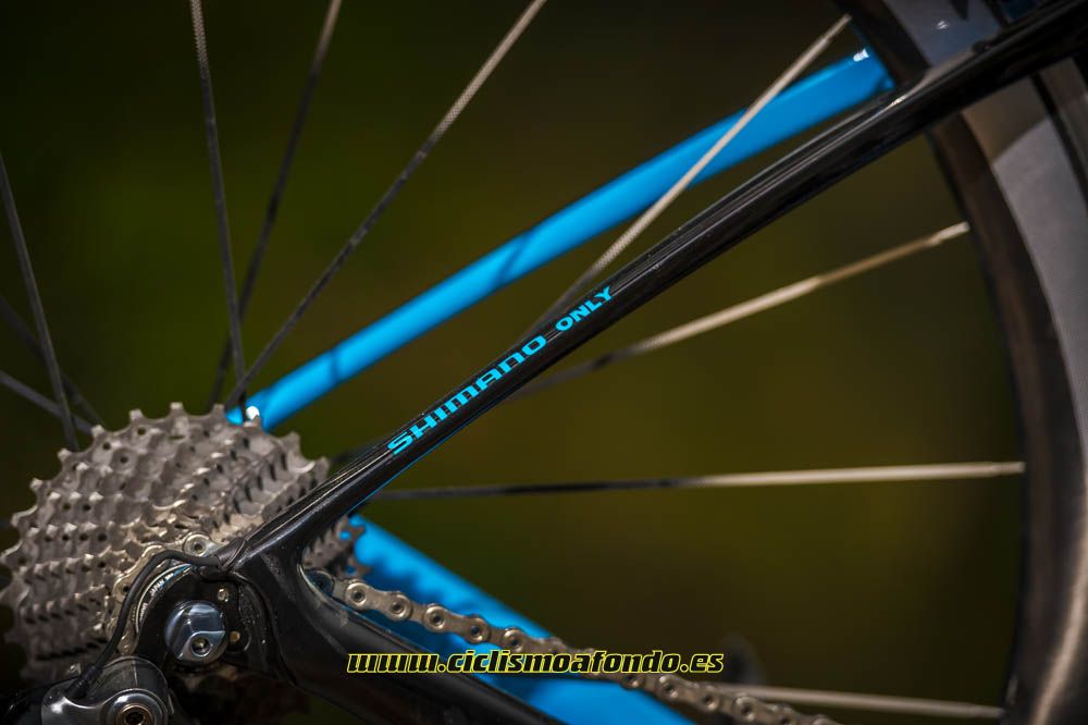 Prueba: Macario 65 aniversario