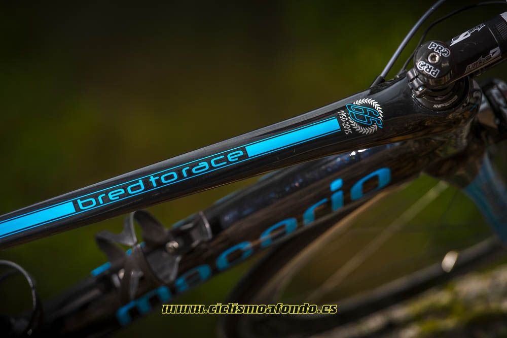 Prueba: Macario 65 aniversario