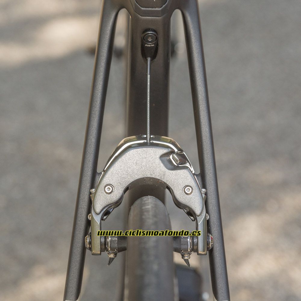 Comparativa: Trek Madone 9.5 vs Specialized Venge Pro ViAS
