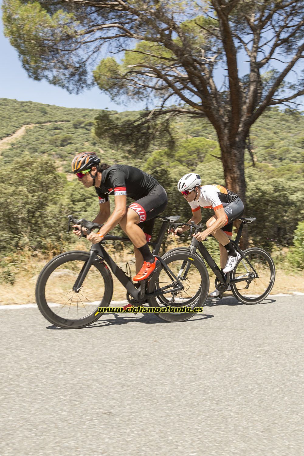 Comparativa: Trek Madone 9.5 vs Specialized Venge Pro ViAS