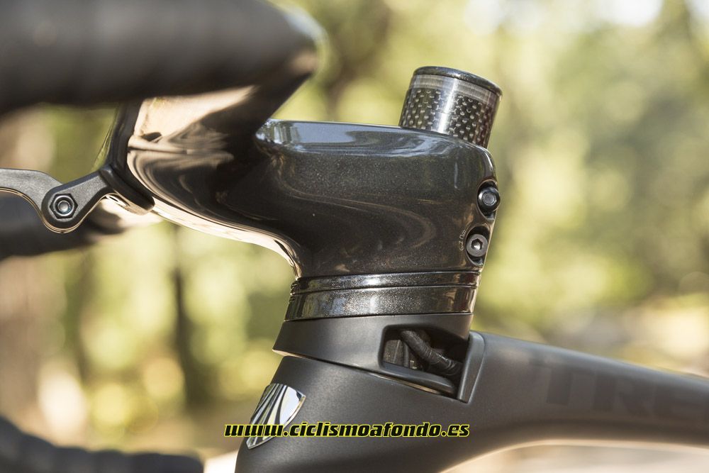 Comparativa: Trek Madone 9.5 vs Specialized Venge Pro ViAS