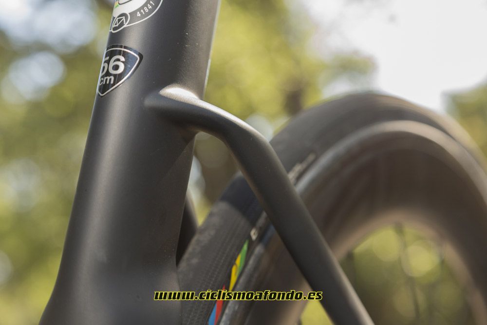 Comparativa: Trek Madone 9.5 vs Specialized Venge Pro ViAS