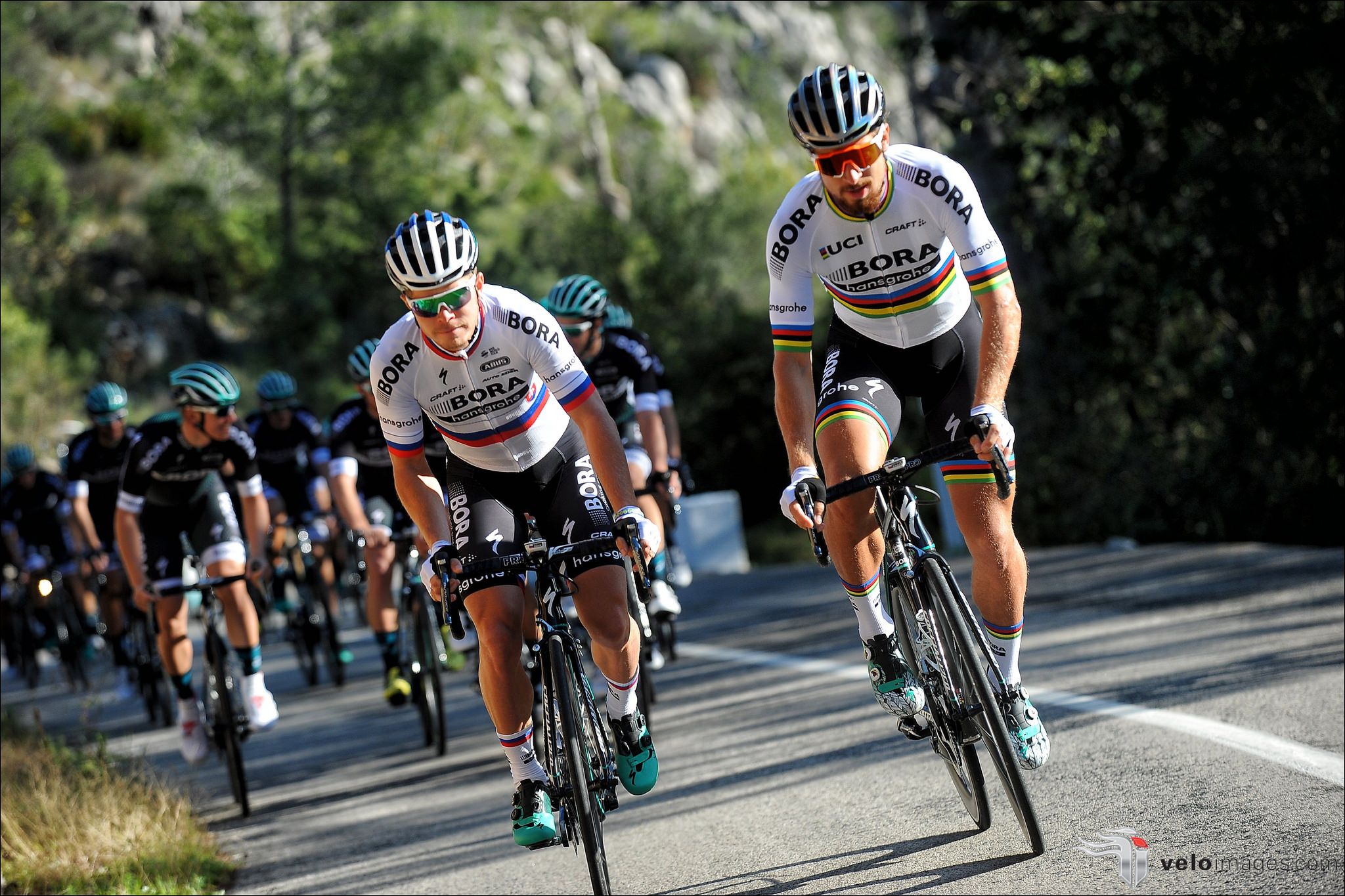 Nuevo uniforme de campeón del Mundo de Peter Sagan