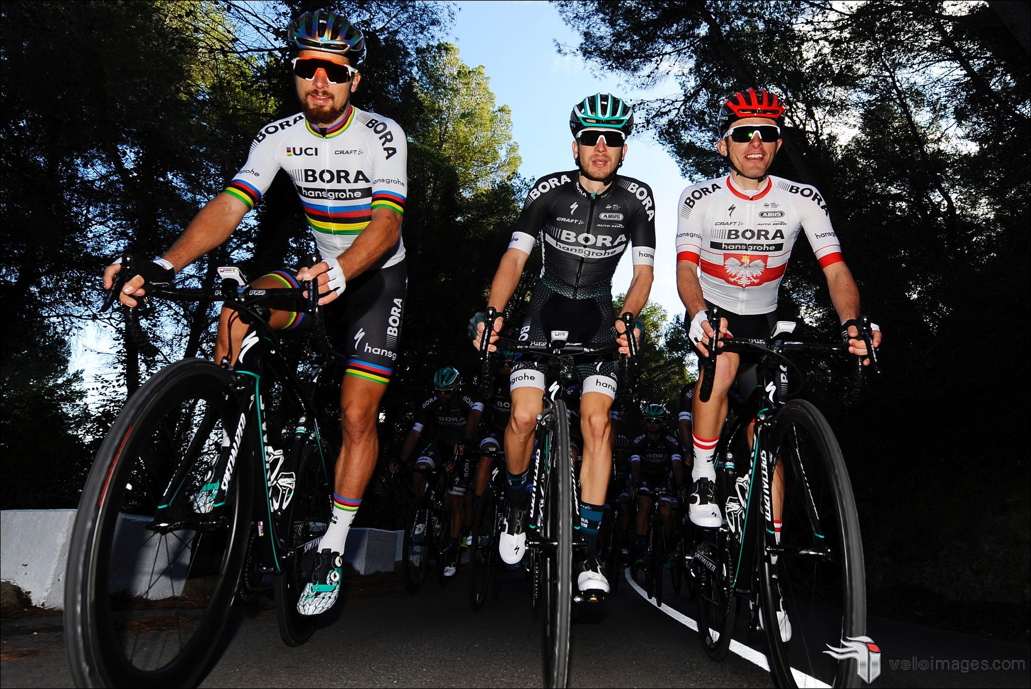 Nuevo uniforme de campeón del Mundo de Peter Sagan
