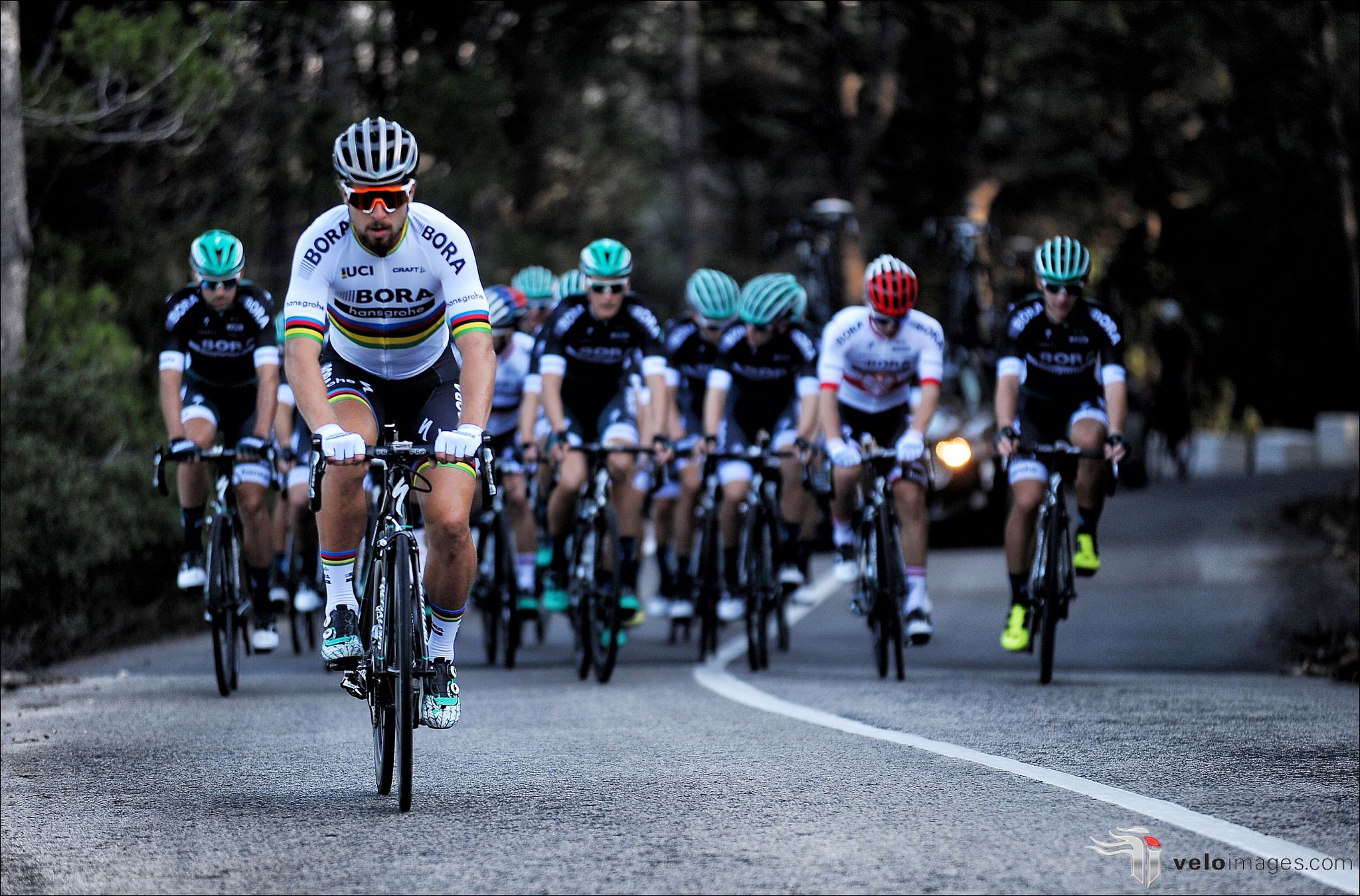 Nuevo uniforme de campeón del Mundo de Peter Sagan