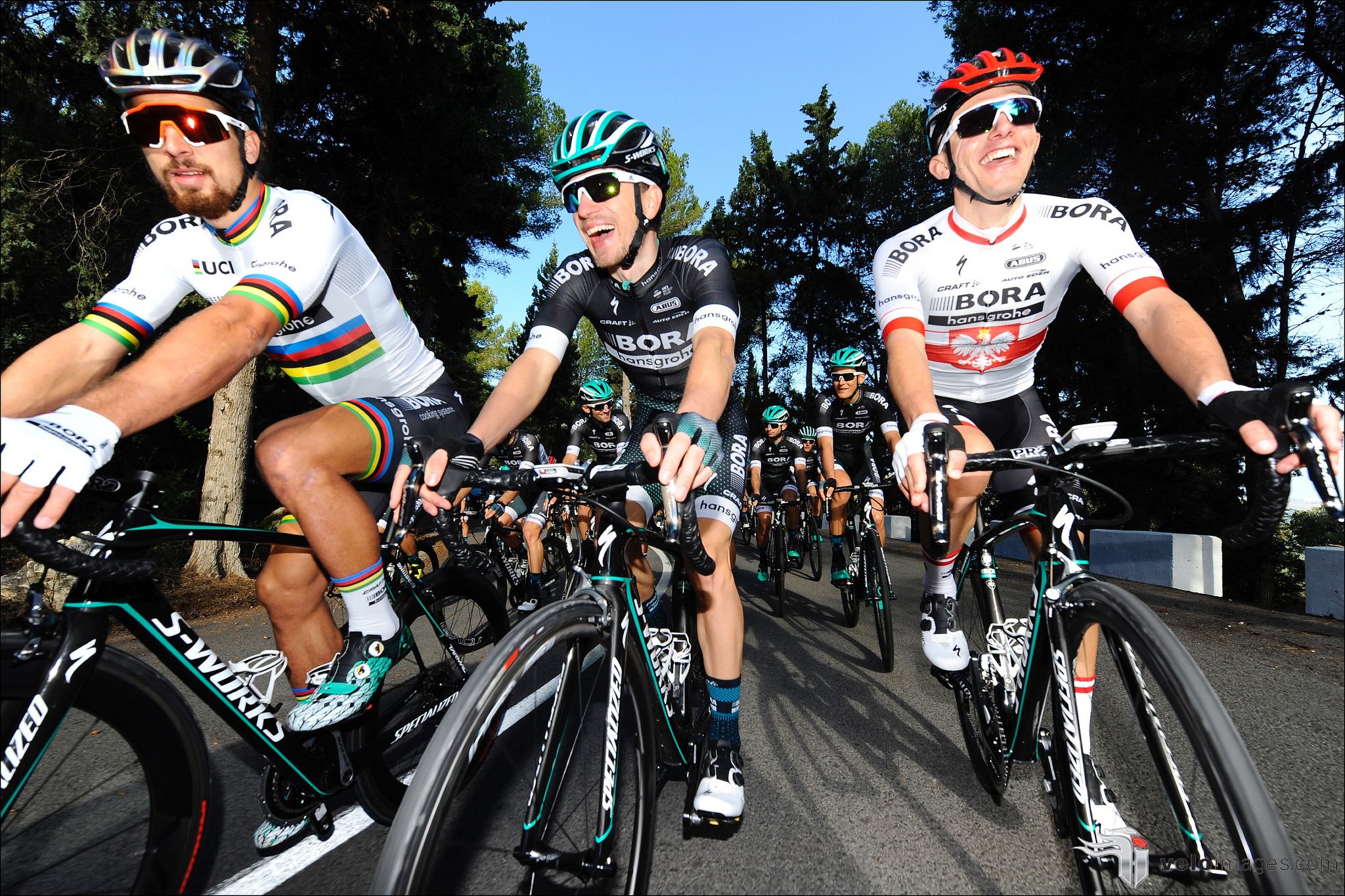 Nuevo uniforme de campeón del Mundo de Peter Sagan