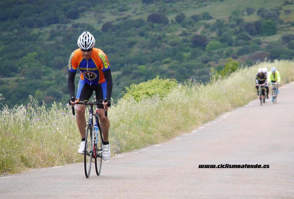 Bedelalsa 2016_3