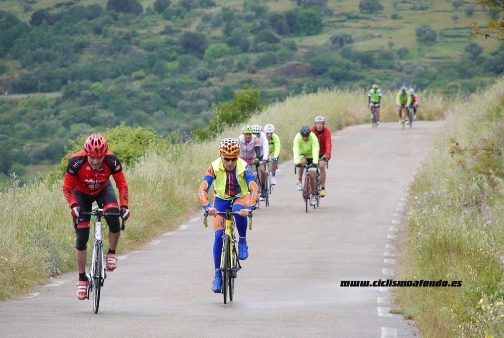 Bedelalsa 2016_3