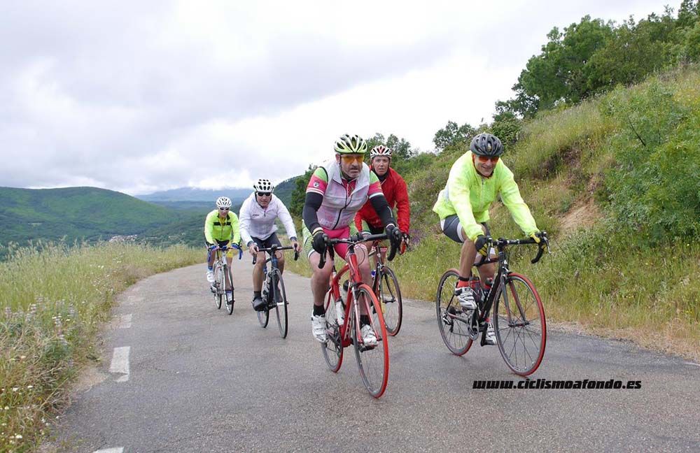 Bedelalsa 2016_3
