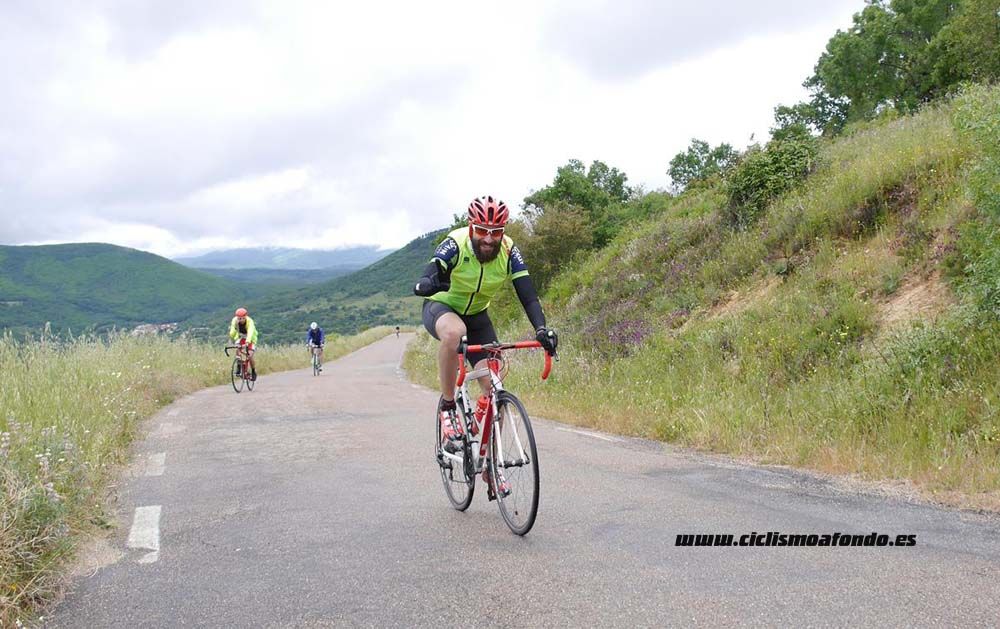 Bedelalsa 2016_3